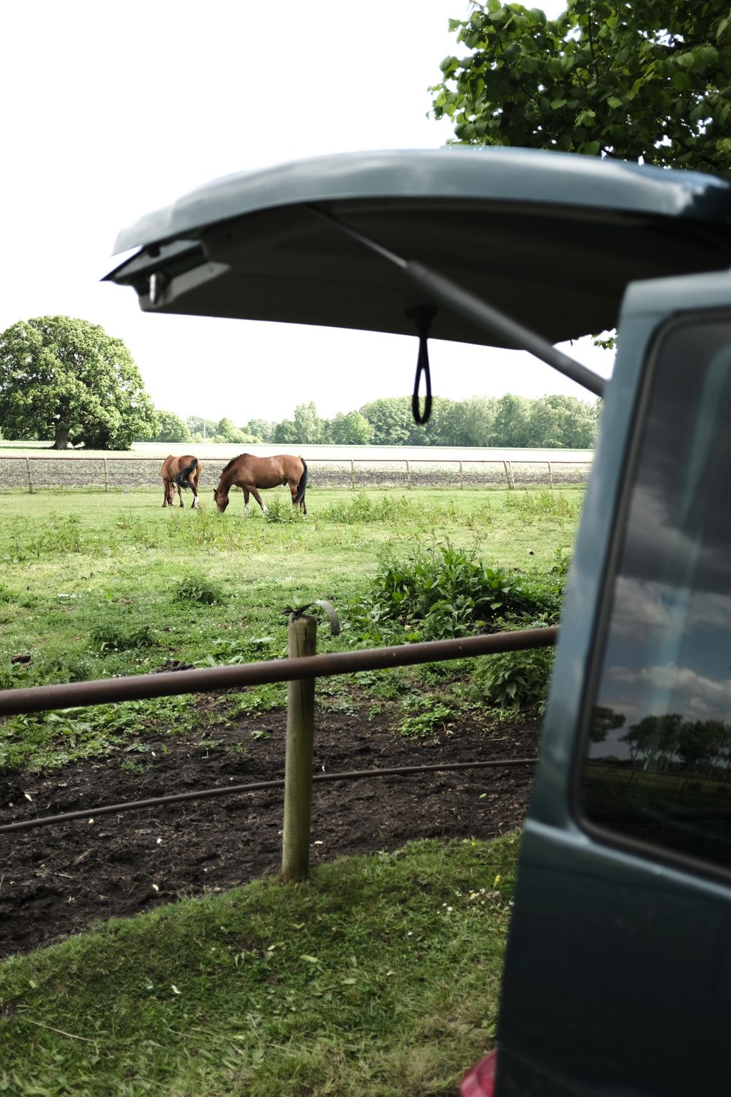 Equitazione e campeggio nell'idilliaco maneggio LG Heide