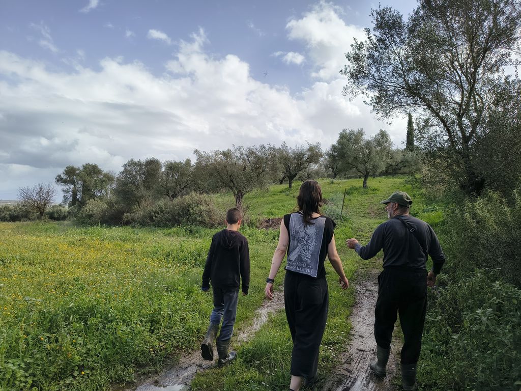 Camping in an Olive Grove: A Peaceful, Idyllic Retreat in the Peloponnese