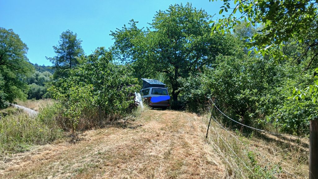 ​Idyllischer Naturstellplatz Bachlauf & Spielplatz