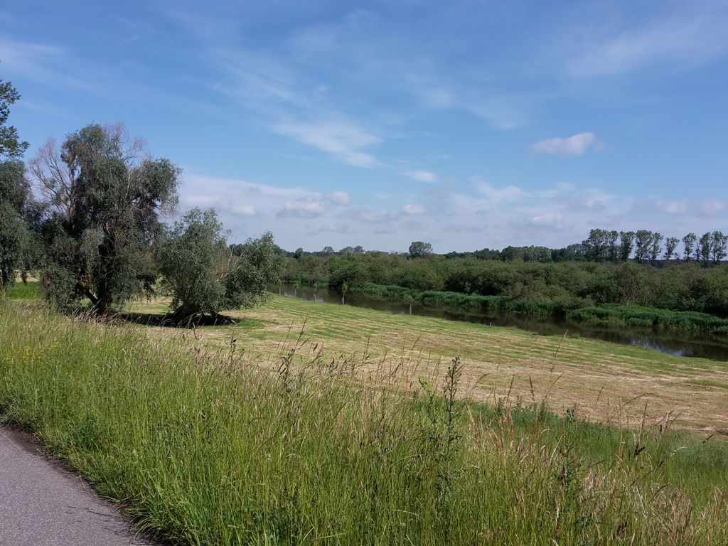 Actividades recreativas en la reserva de biosfera Elbtalaue MV