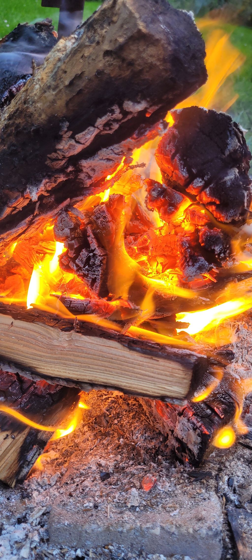 Rancho con caballos y ganado en el canal Ems-Jade