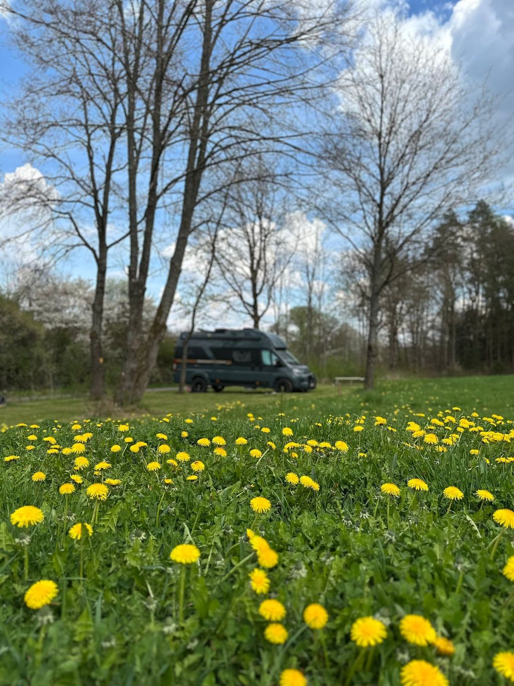 Absolute Ruhe am Waldrand mitten in der Natur