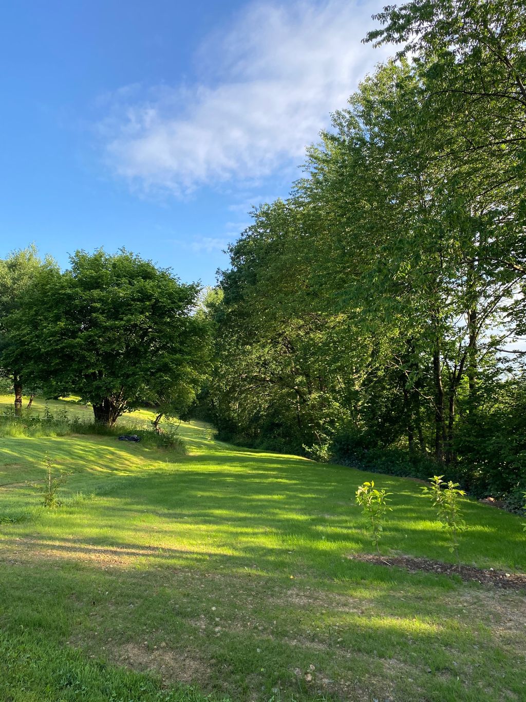 Better Place in the Westerwald - wonderful peace and quiet