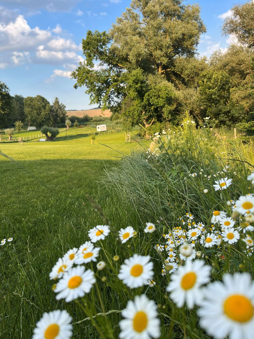 The Uferscheune - Country Estate on the Elde