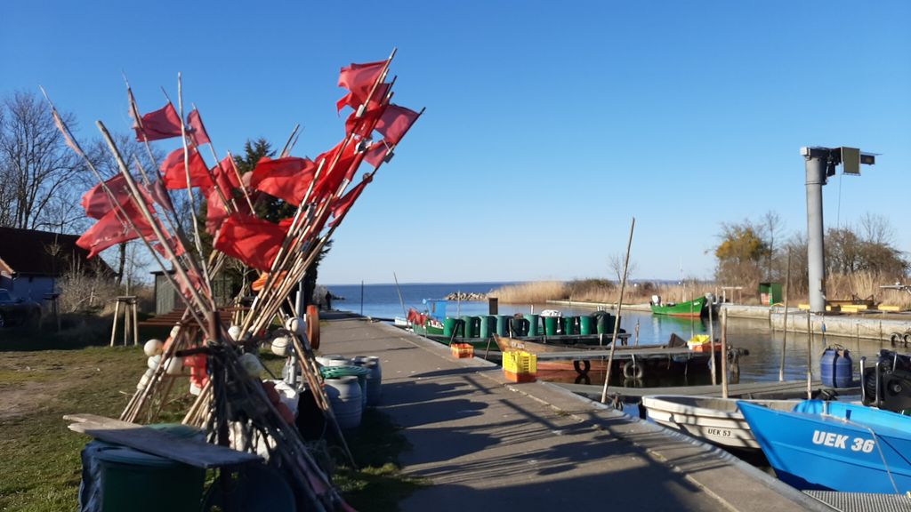 Large meadow on the Szczecin Lagoon