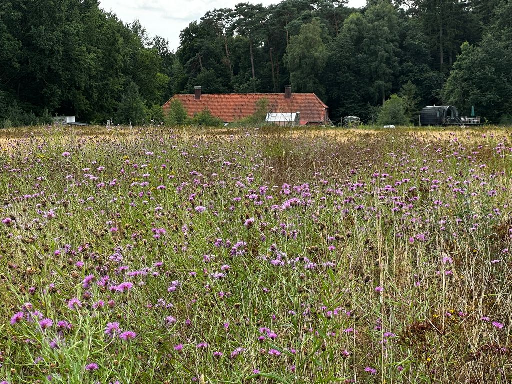 Iglucraft dans le parc naturel de Wendland, près de l'Elbe