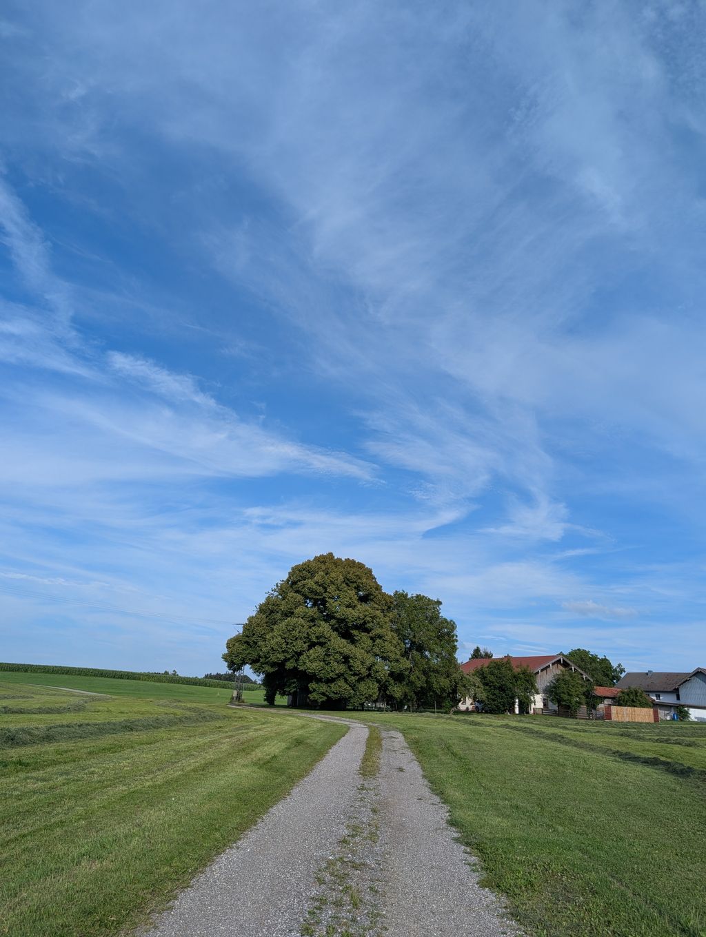 Grüne Auszeit fûr Dich und Deinen Camper!
