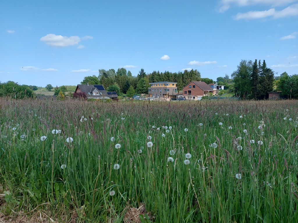 Mitten in der Natur zwischen Wald und Wiesen