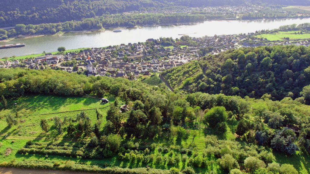 Piazzola nella riserva di caccia sul sentiero escursionistico del Rheinsteig