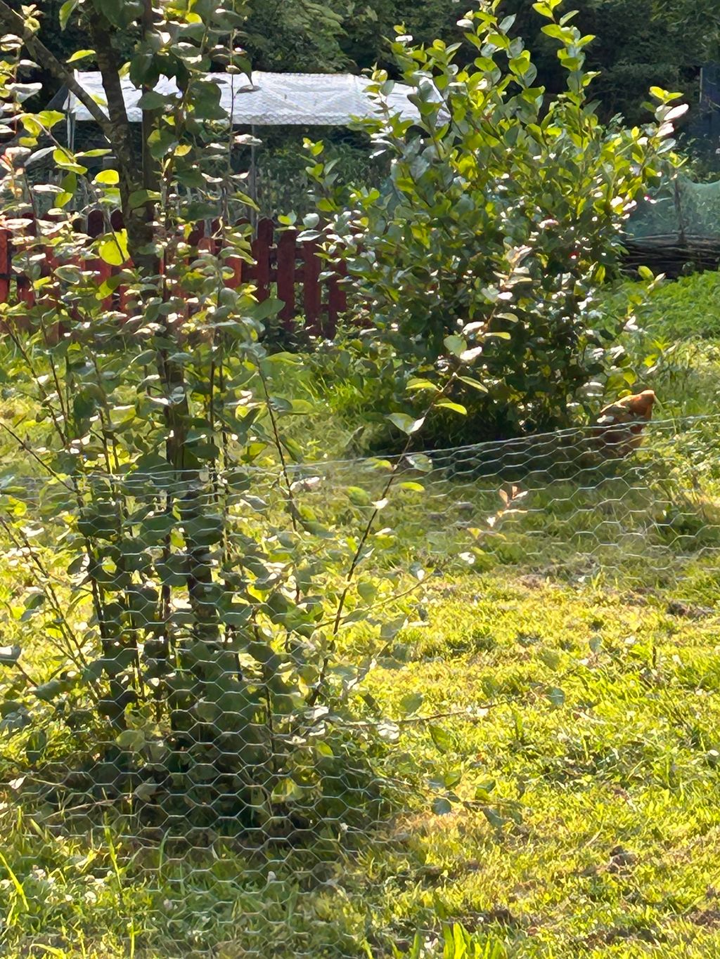 Private campsites in the Lüneburg Heath