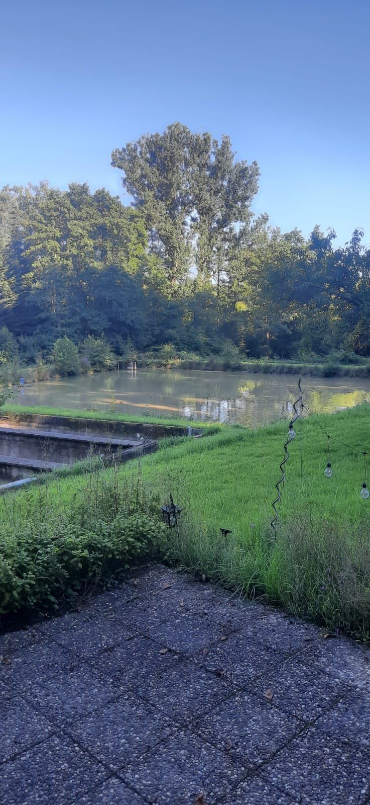 Zelten am Waldrand im Marienthal