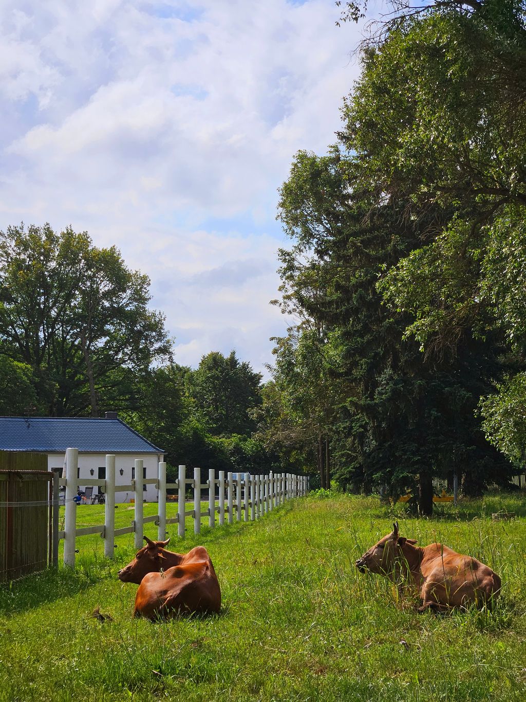  Übernachten am Naturbad am schönen Elberadweg