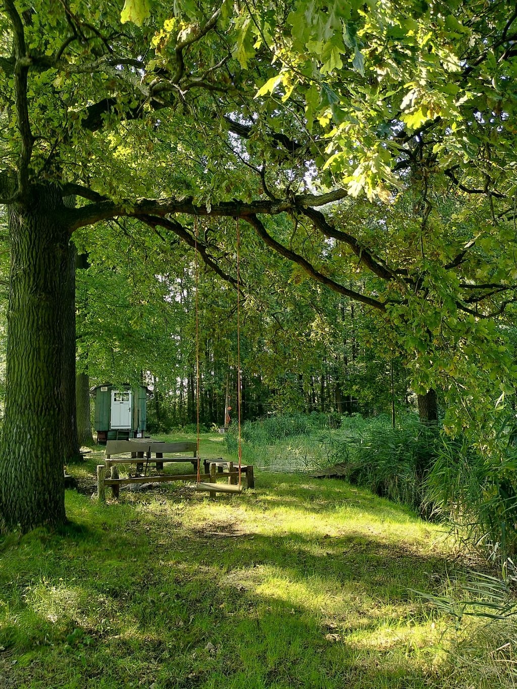 Teich am Fuß der Köhnigshainer Berge