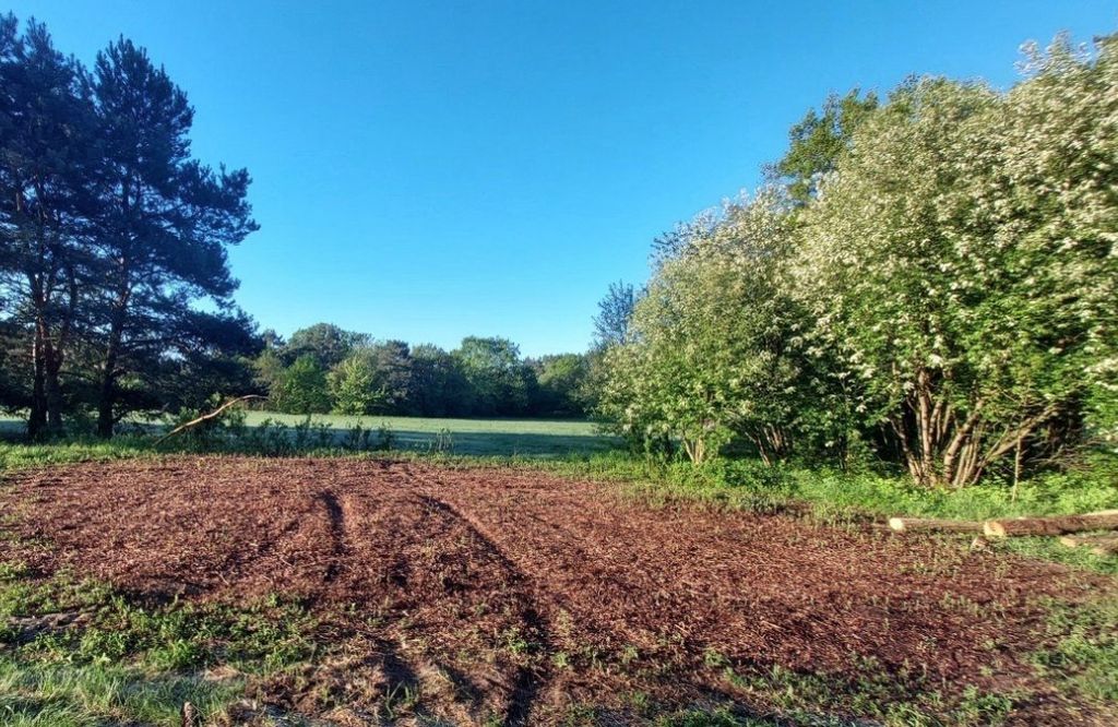 Ruhiger Stellplatz in Boxberg/Oberlausitz