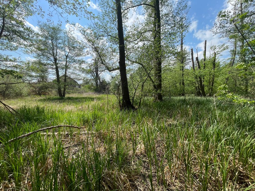 Campen in Potsdam - Naturnah am Jubelitzsee