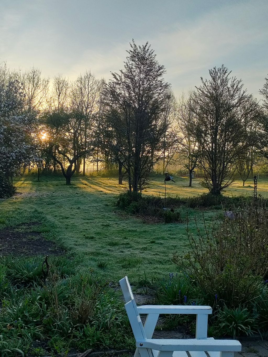 Natur, Kunst und Gemüse - Nahe Mariagerfjord