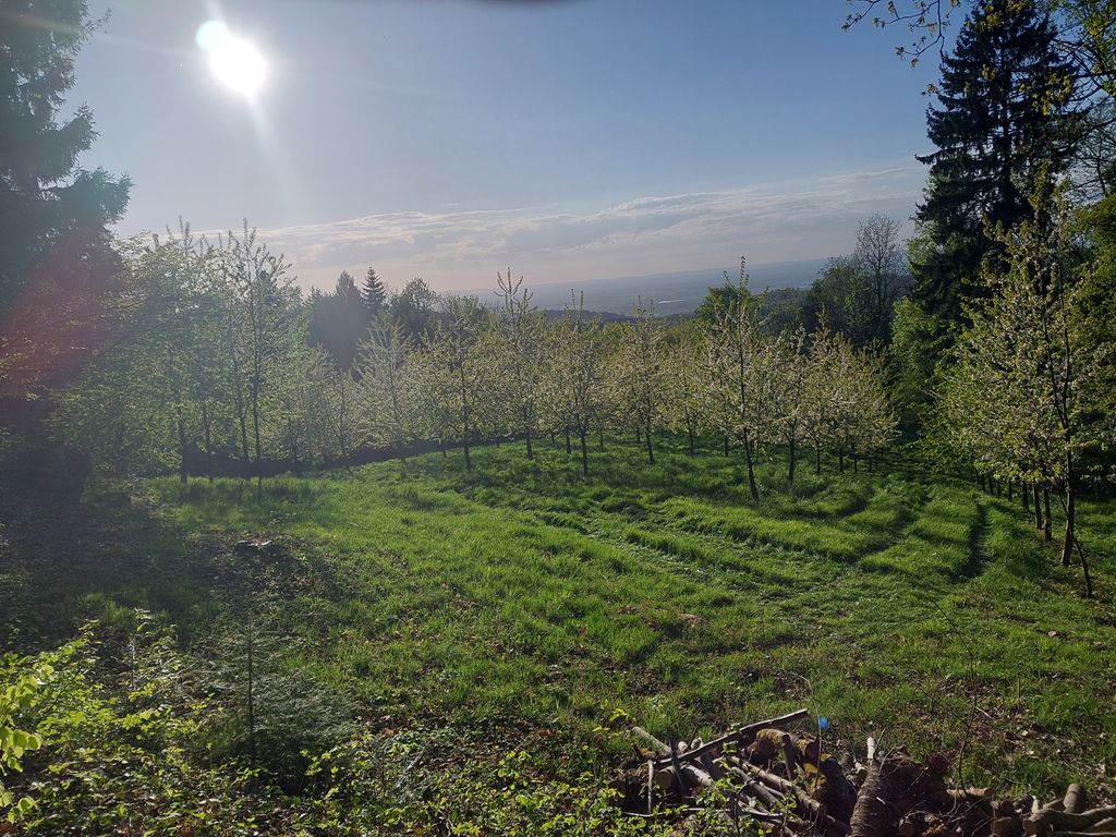 4x4 fuoristrada / campeggio libero in autonomia