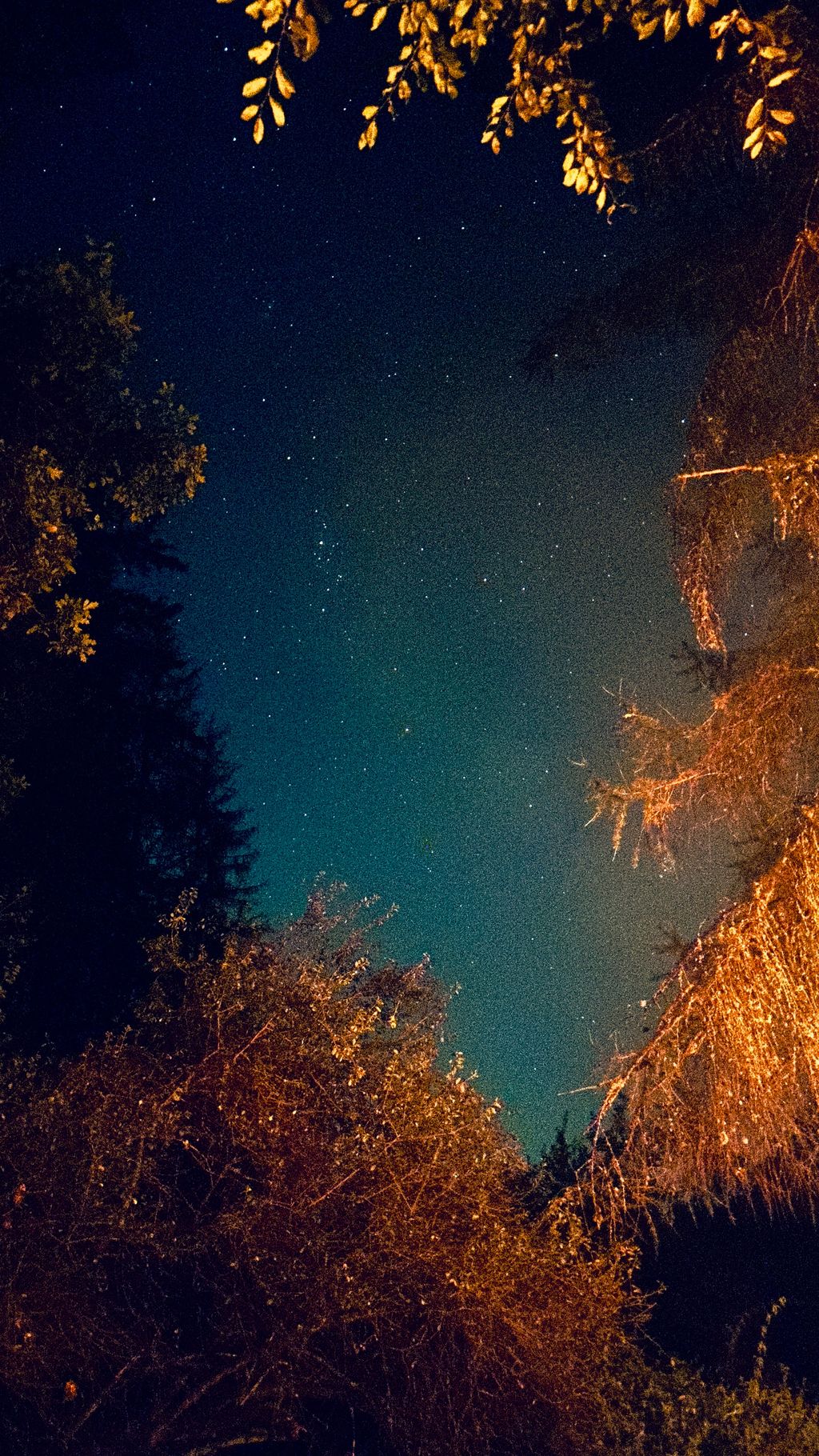 Nature Camping with a Fire Pit in the Lahn Valley