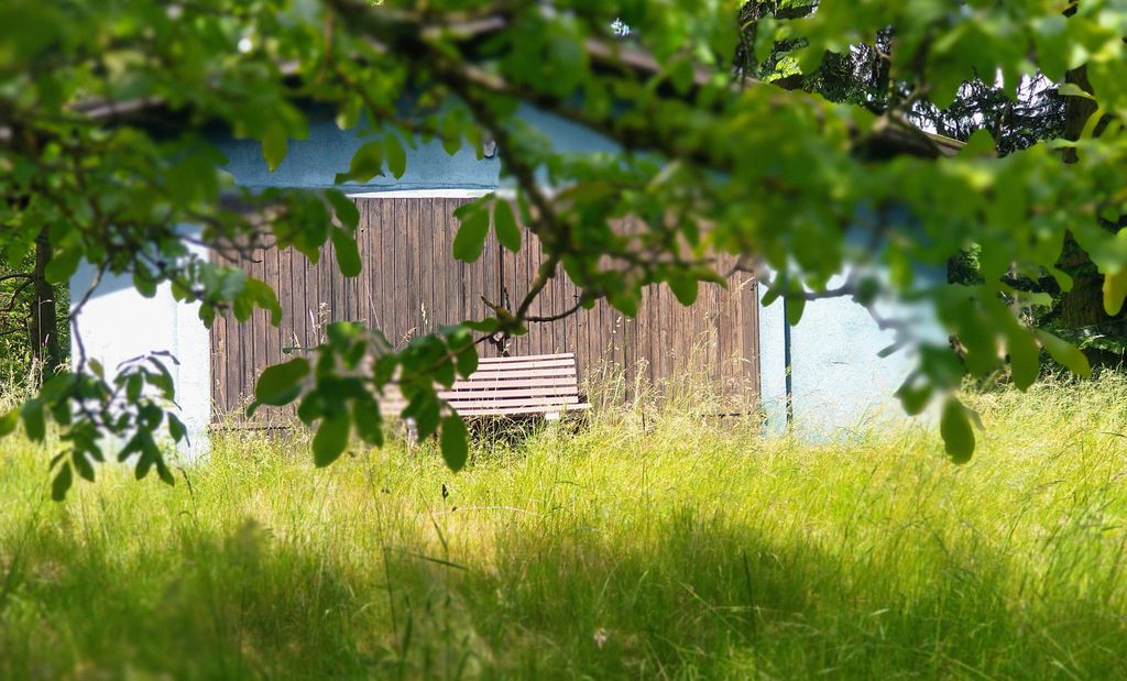 Verwildeter Obstgarten im Frau-Holle-Land