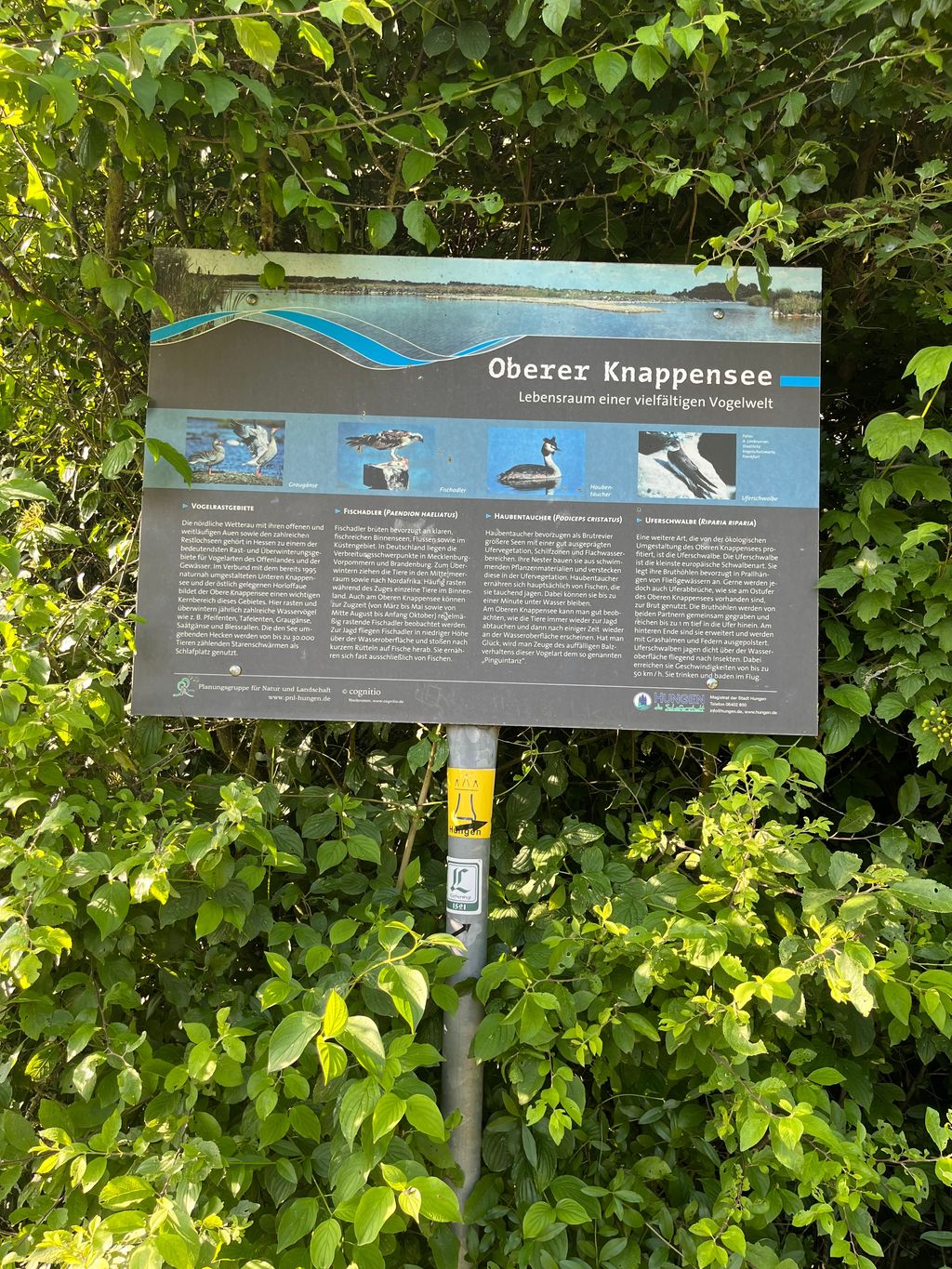 Zelten in der Wetterauer Seenplatte