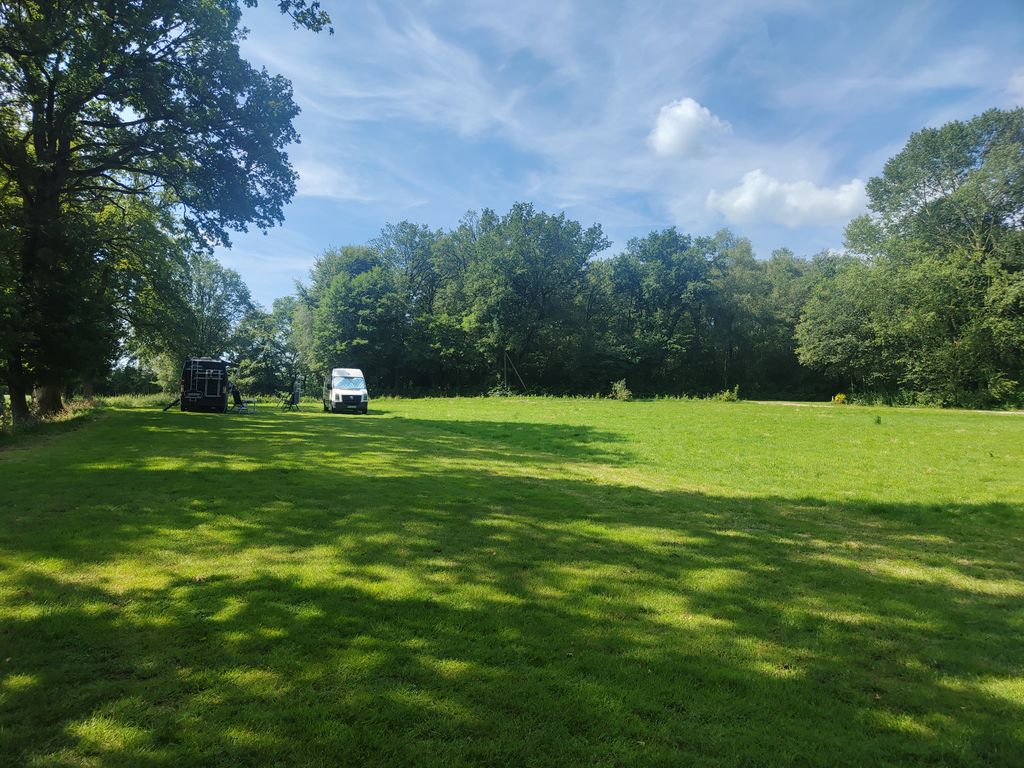 Small pasture under trees