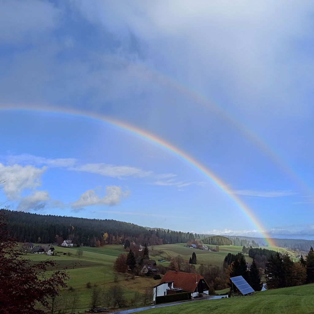 Accommodation in the Black Forest between forest & meadow