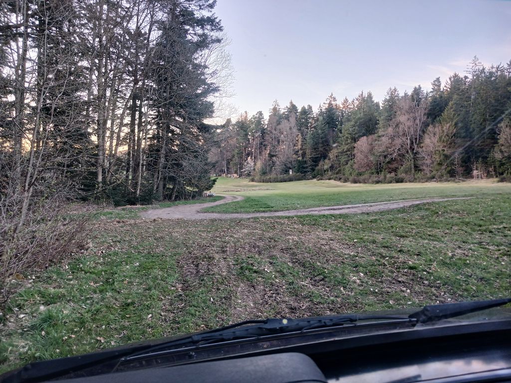 Stellplatz am Waldrand