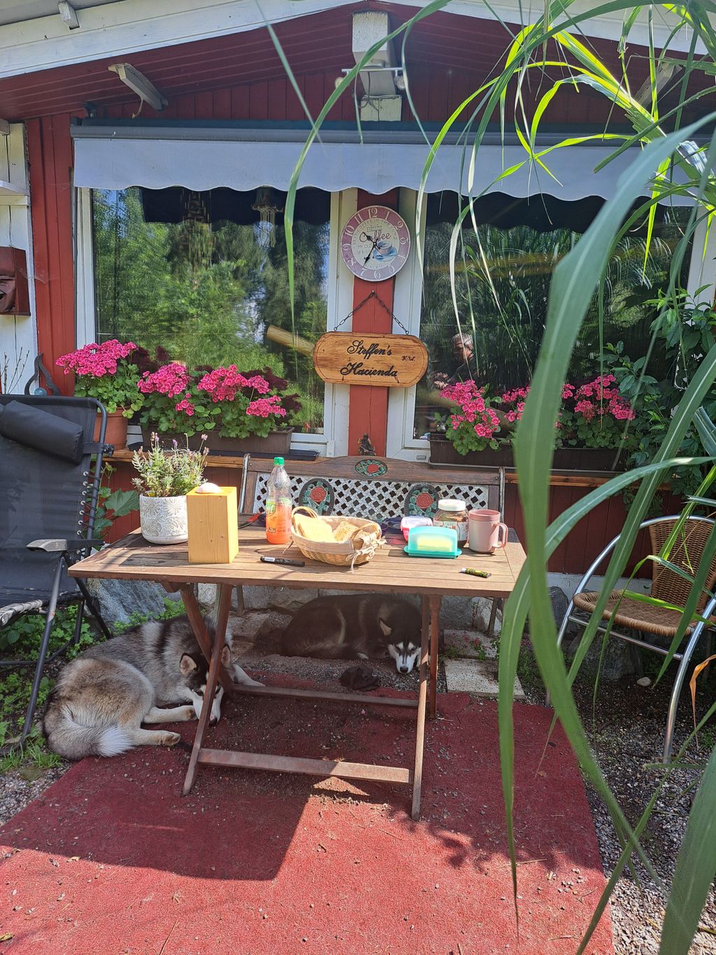 Idyllic garden campsite in the Upper Palatinate