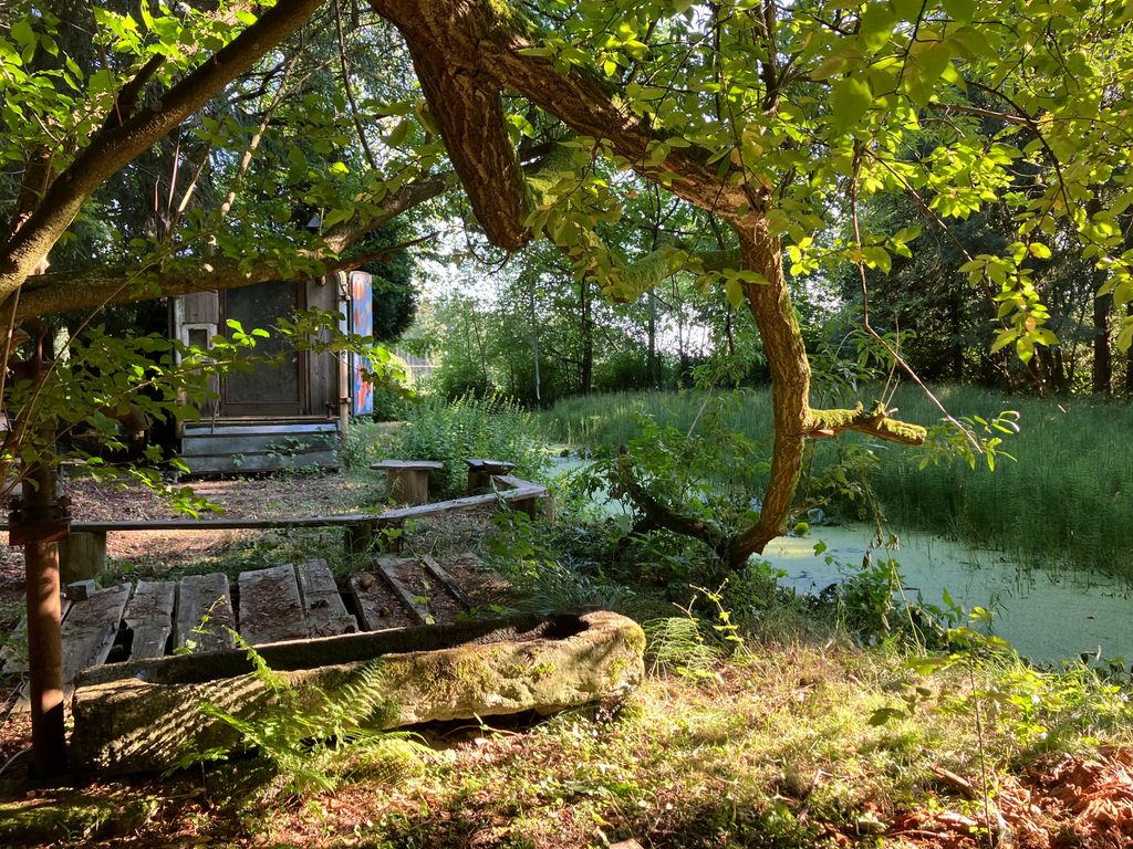 Zeltplatz am Teich mit Feuerstelle – ganz privat