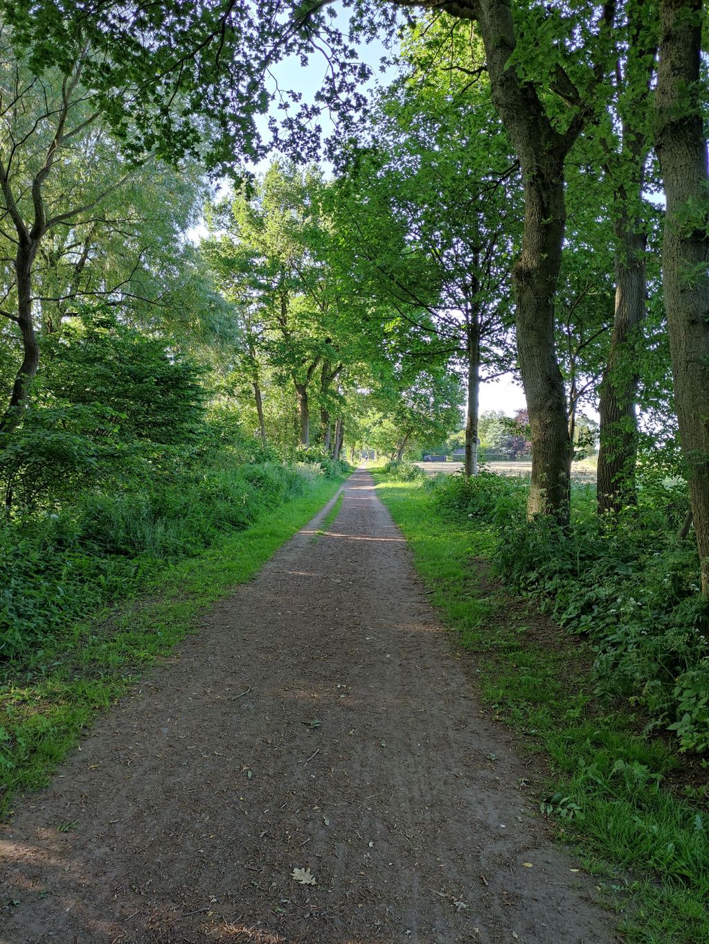 Stellplätze direkt am Ostfriesland Wanderweg
