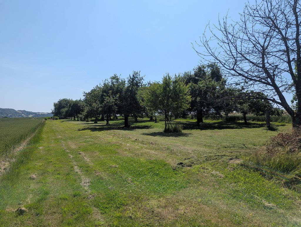 Pradera cerca del aeródromo de planeadores