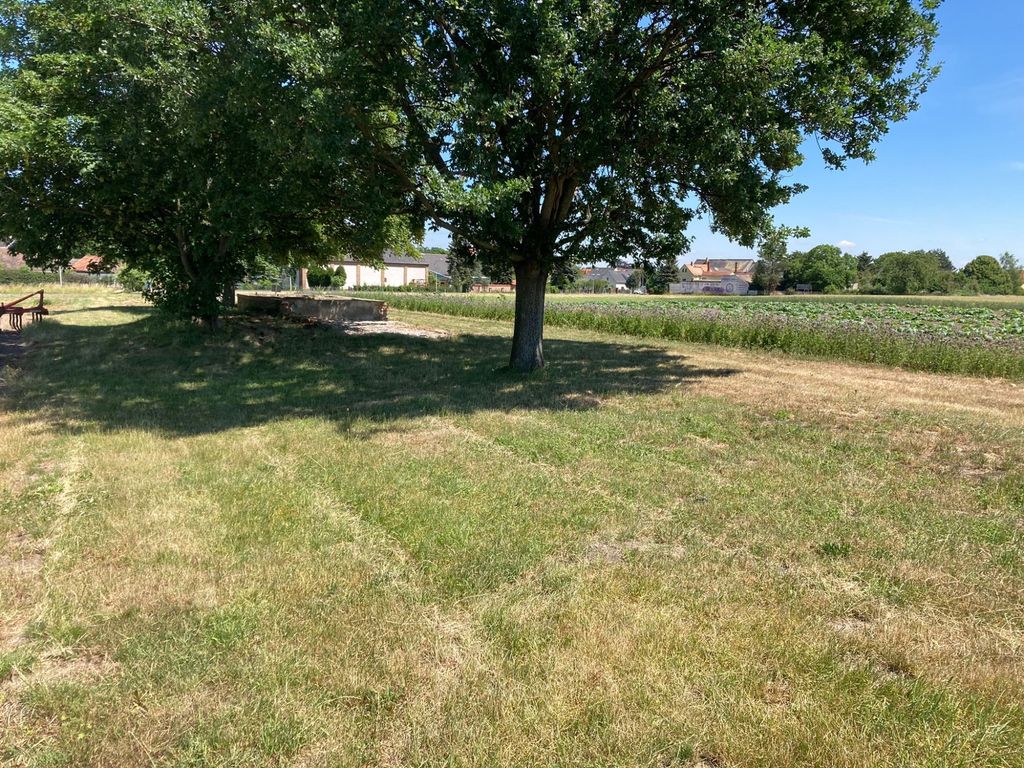 Platz unter der Eiche und umgeben von Feldern