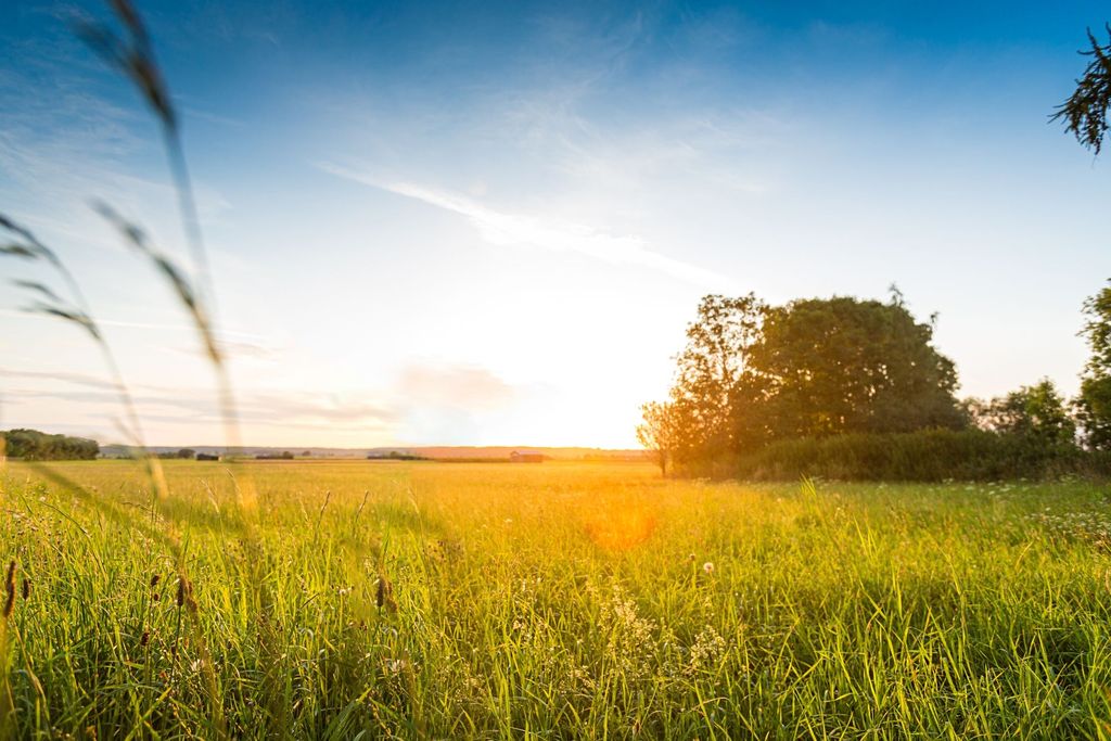 Natur pur im Allgäu, mit Sauna und Alpenblick