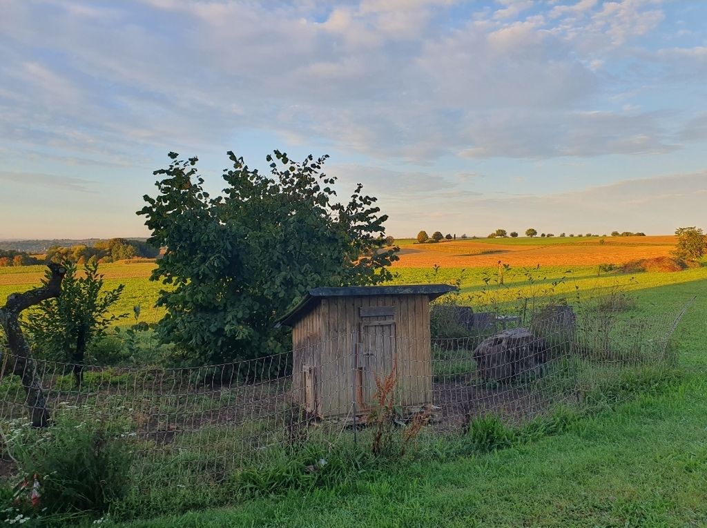 Hof in ruhiger Alleinlage mit Aussicht