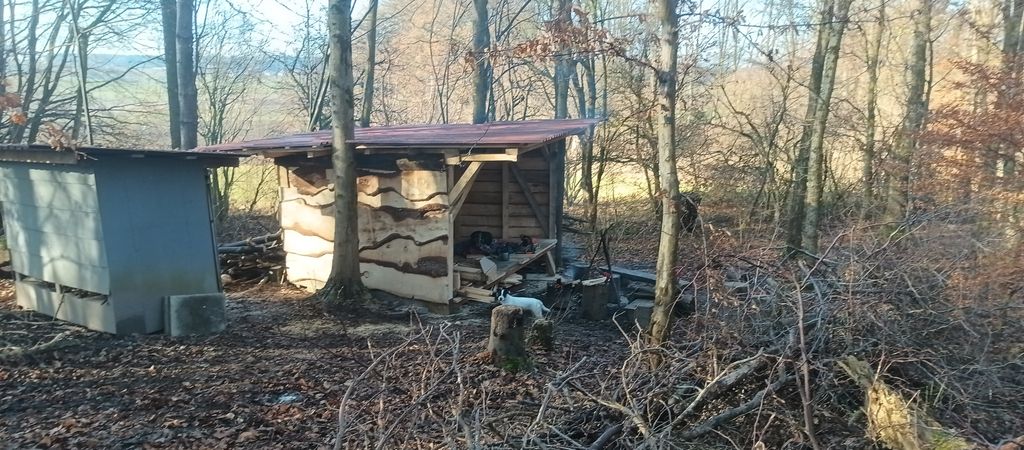 "Wald-Glamping" - Shelter, Lagerfeuer, draußen ...