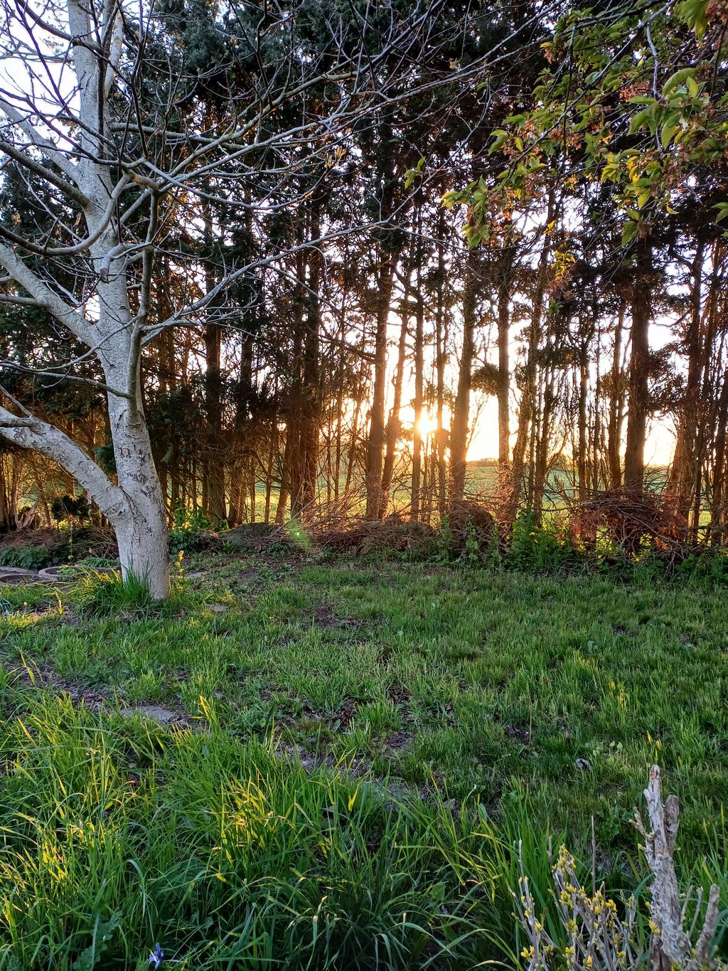 Naturnaher Stellplatz in der Nähe der Schlei