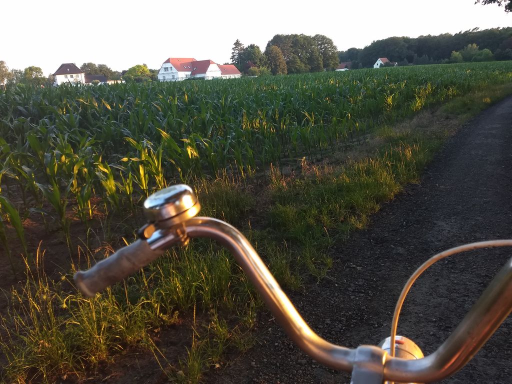 Oldtimer, Natur & Camping: Willkommen Im Felde