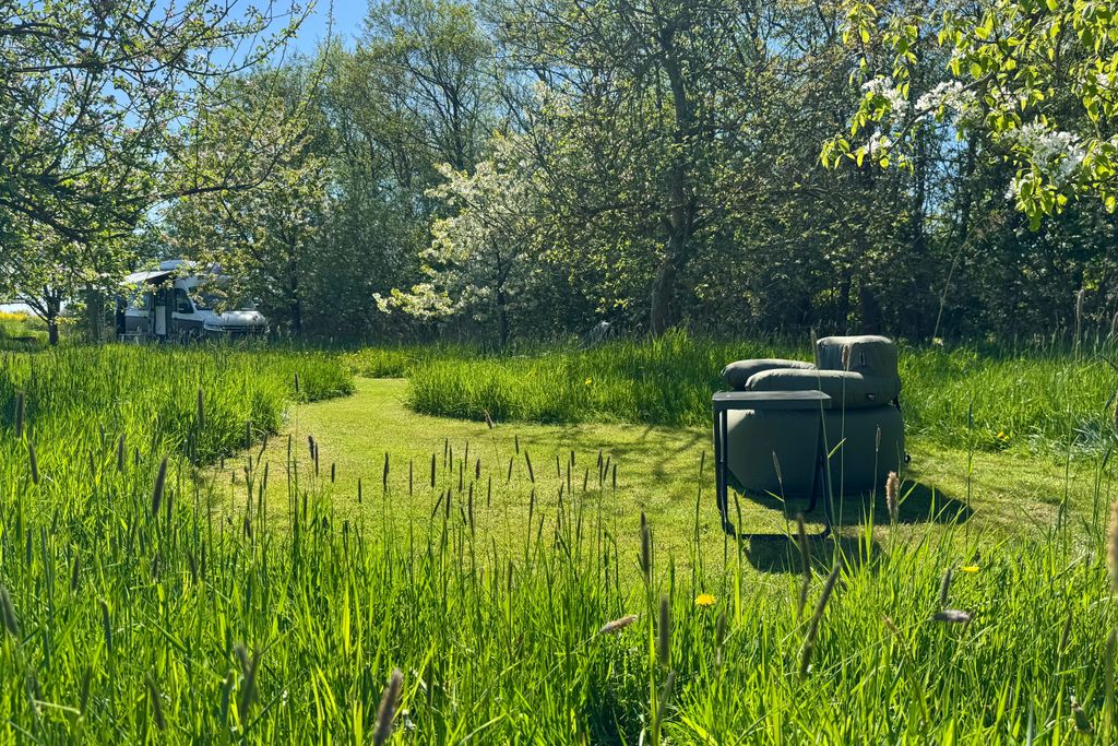 Fruit meadow behind North Sea dike