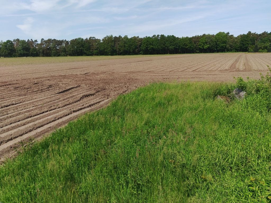 Al centro della natura ai margini della brughiera di Luneburgo