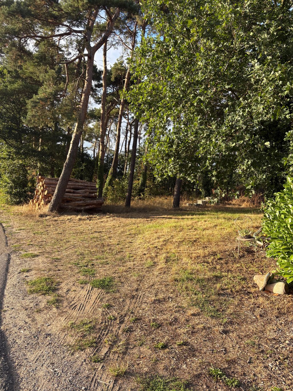 Aparcamiento en plena naturaleza junto a la tienda de la granja, justo al lado del bosque