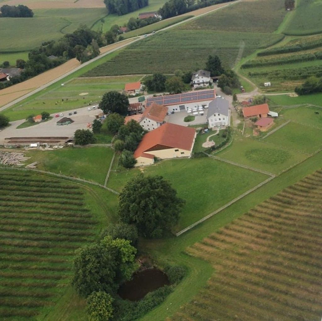 Alpaga/lama/wallaby-Winklhof Pomme/plantation d'aronias