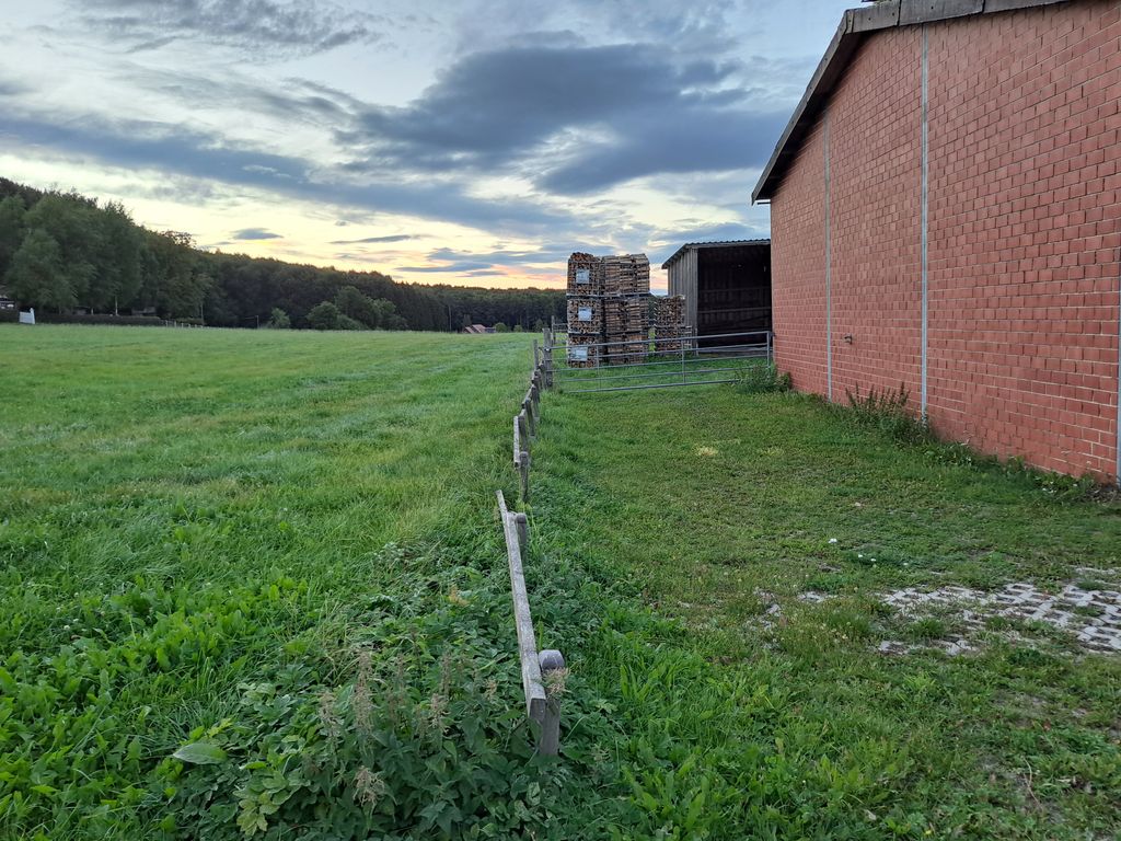 Plätzchen im Grünen