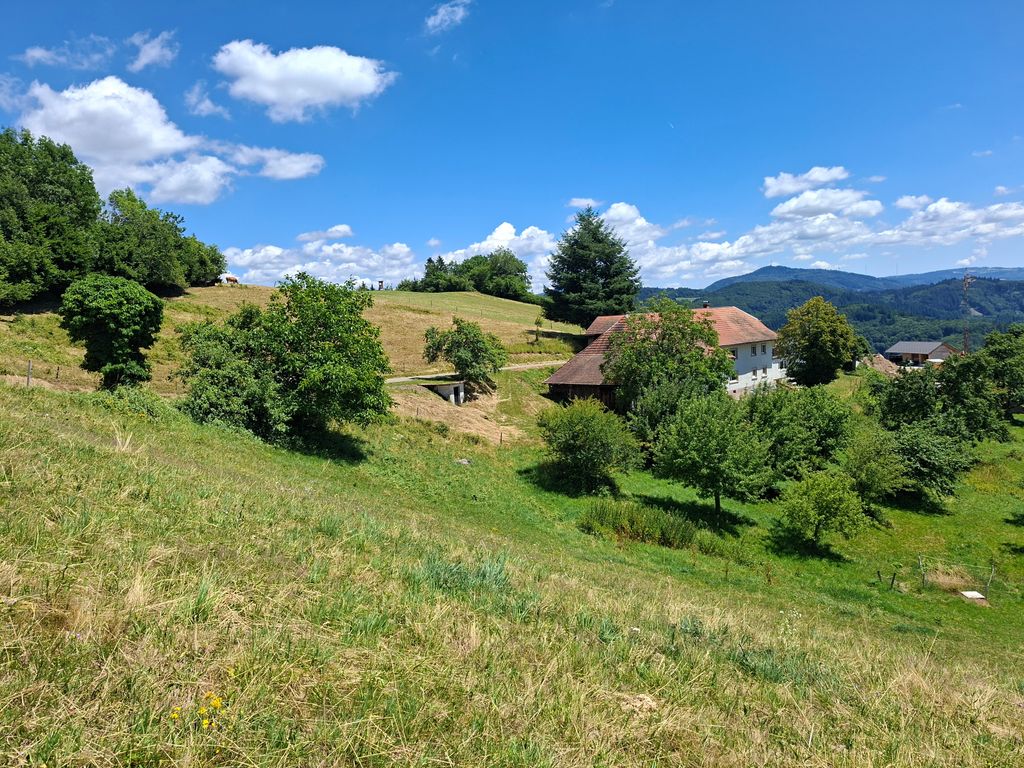 Pitch in the mountains with a view of the Alps