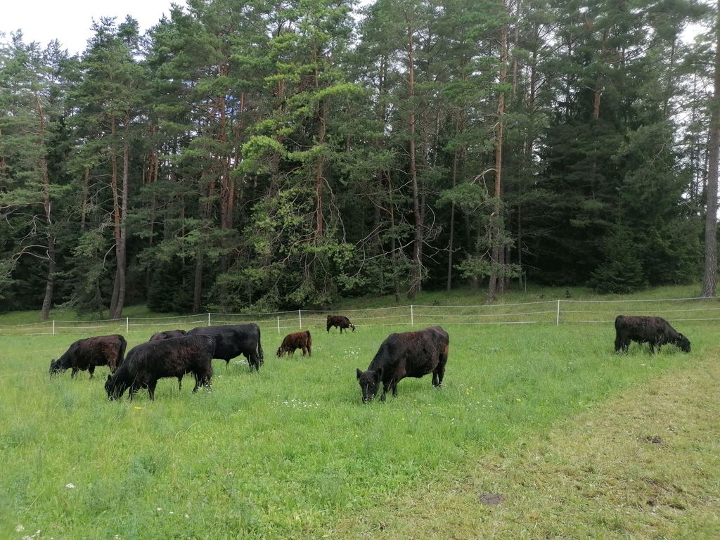 Time out at the gateway to Franconian Switzerland