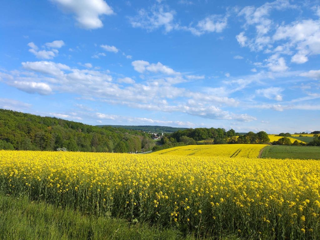 View of the landscape above the Siebenmühlental valley