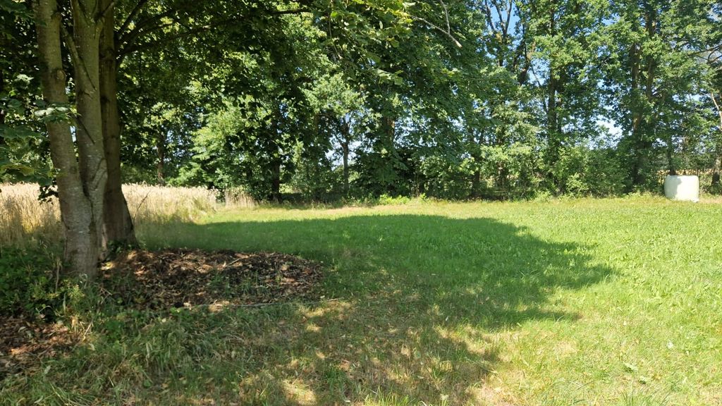 Aire de stationnement dans un pré près de la lande de Lunebourg