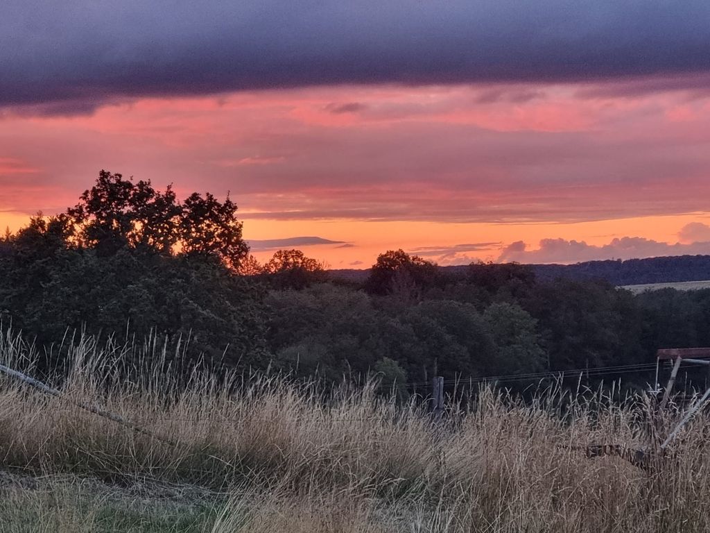 Pradera tranquila en el hermoso Hunsrück