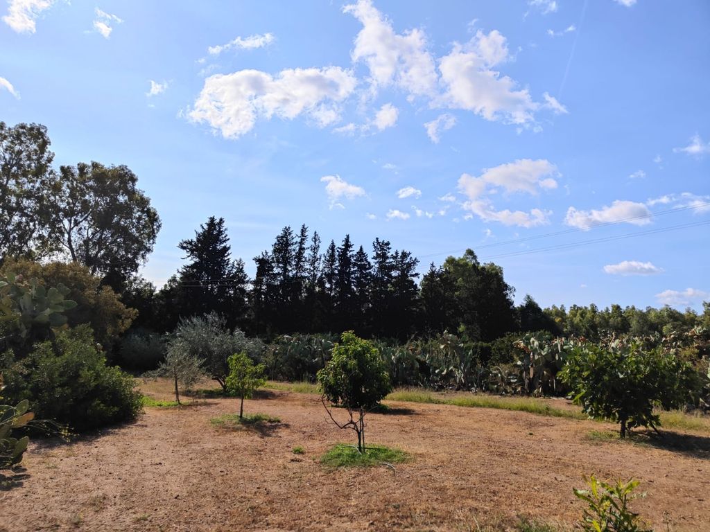 Pause numérique - Tiny House Retreat Sardaigne
