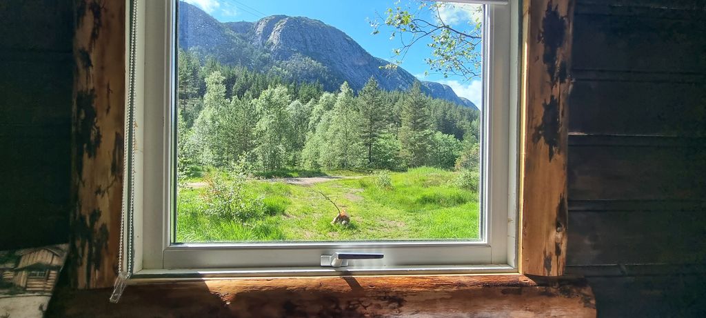 Capanna per gli amanti della natura. Stufa a legna, sauna