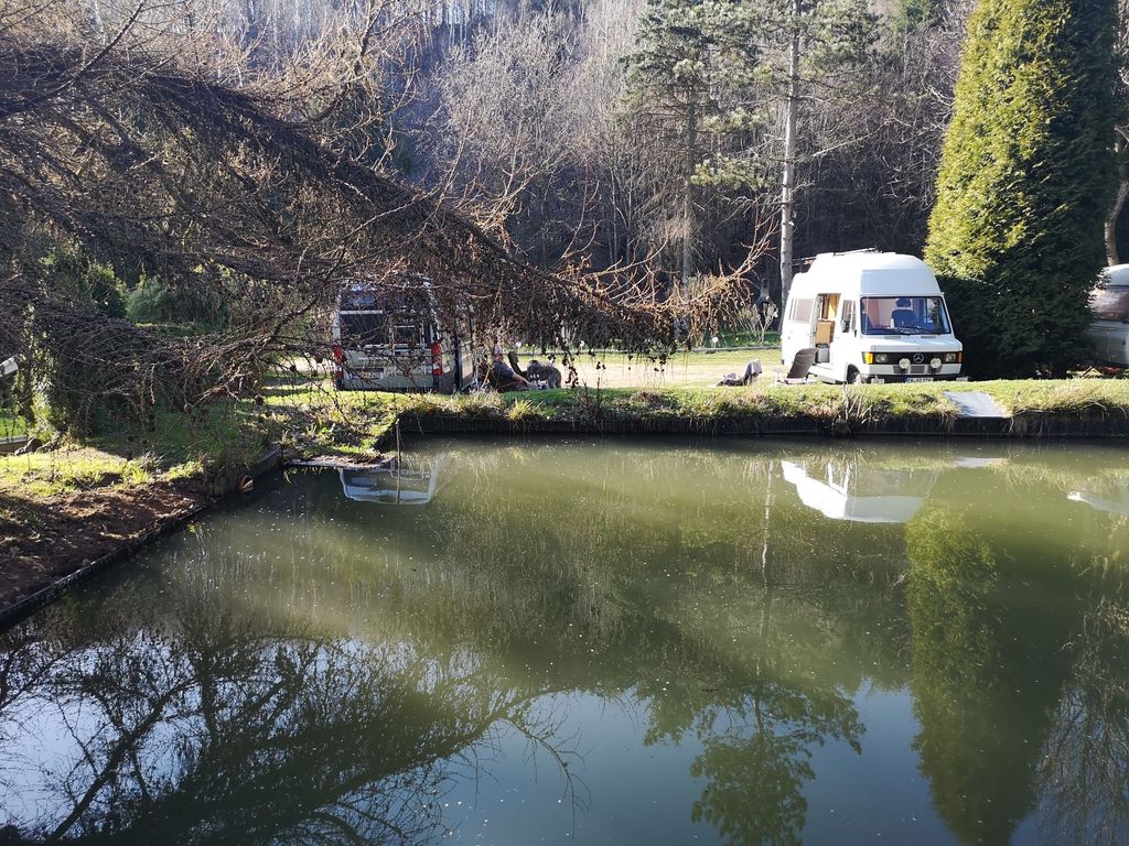 Piazzola con laghetti per la pesca vicino alla foresta